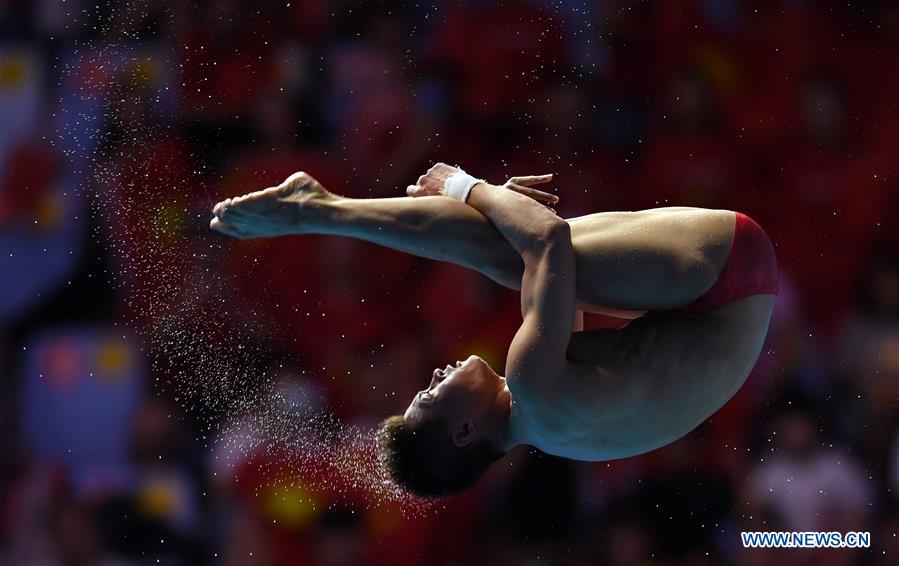 (SP)SOUTH KOREA-GWANGJU-FINA WORLD CHAMPIONSHIPS-DIVING-MEN'S 10M PLATFORM