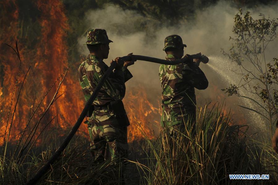 INDONESIA-RIAU-PEATLAND FIRE