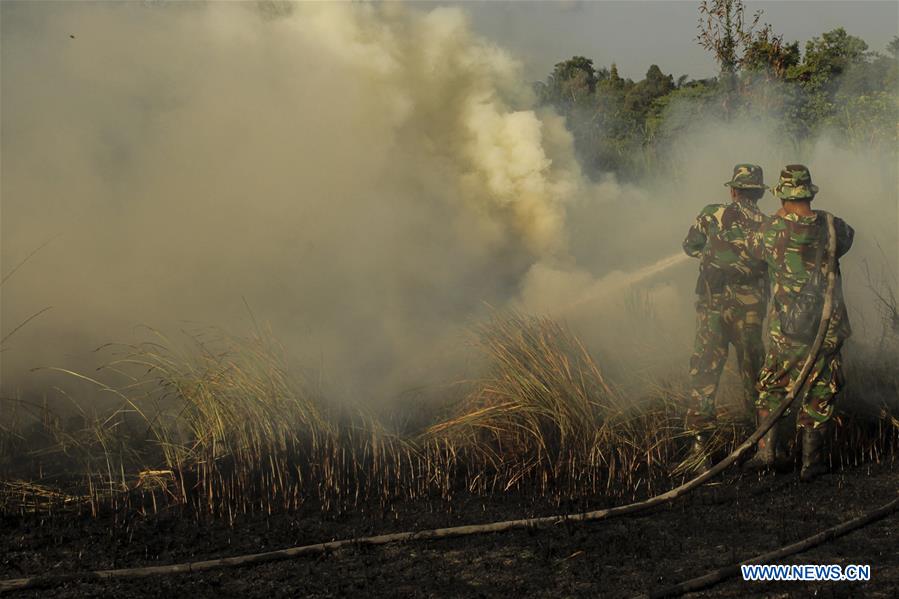 INDONESIA-RIAU-PEATLAND FIRE