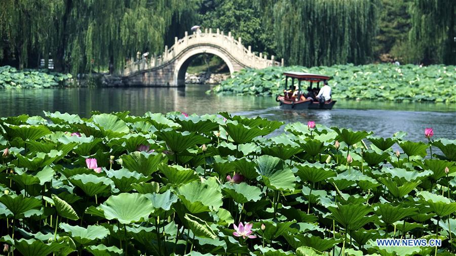 CHINA-BEIJING-YUANMINGYUAN-LOTUS-TOURISM (CN)