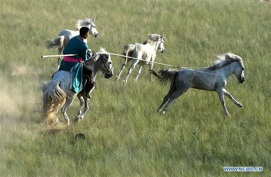 CHINA-INNER MONGOLIA-HORSE LASSOING (CN)