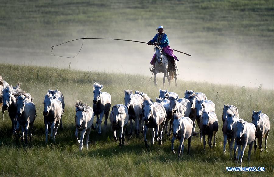CHINA-INNER MONGOLIA-HORSE LASSOING (CN)