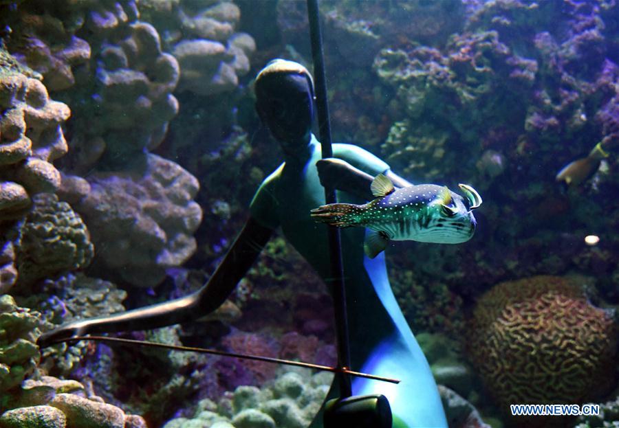 CHINA-SHANDONG-QINGDAO-OCEAN PARK-AUDIO-VISUAL ENJOYMENT (CN)