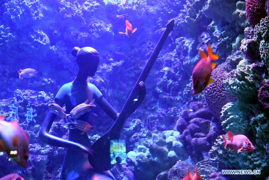 CHINA-SHANDONG-QINGDAO-OCEAN PARK-AUDIO-VISUAL ENJOYMENT (CN)