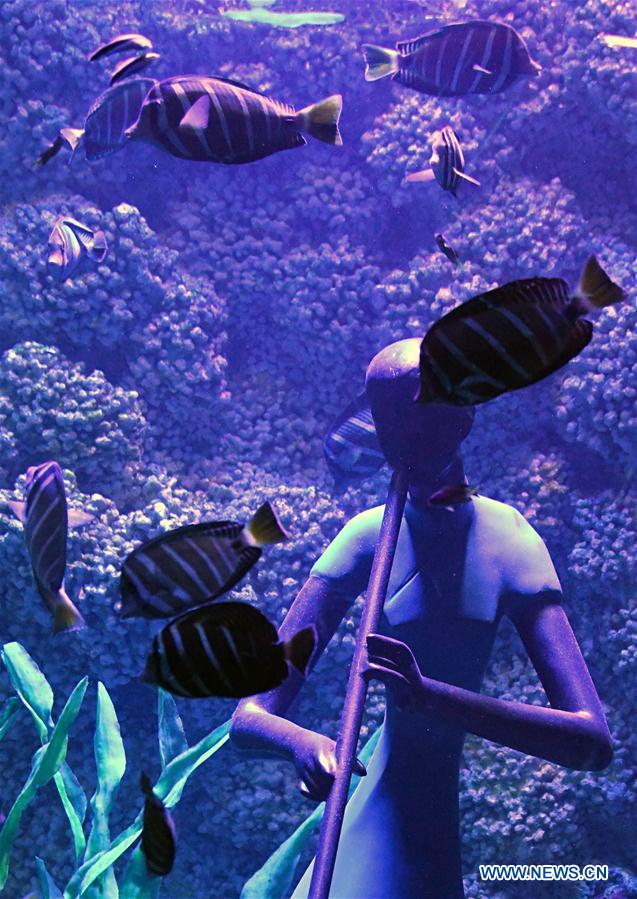 CHINA-SHANDONG-QINGDAO-OCEAN PARK-AUDIO-VISUAL ENJOYMENT (CN)