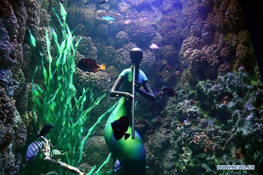 CHINA-SHANDONG-QINGDAO-OCEAN PARK-AUDIO-VISUAL ENJOYMENT (CN)