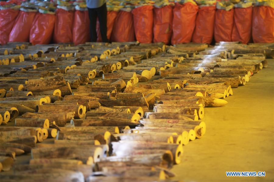SINGAPORE-SEIZURE-ELEPHANT IVORY-PANGOLIN SCALES