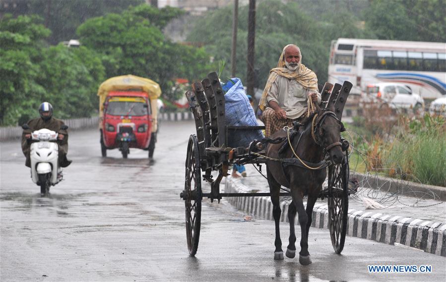 KASHMIR-JAMMU-RAINS