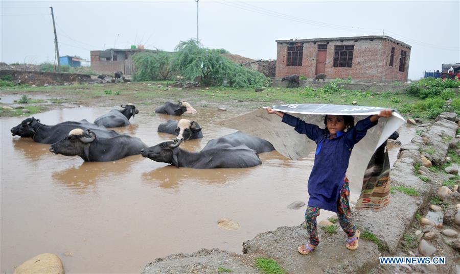 KASHMIR-JAMMU-RAINS