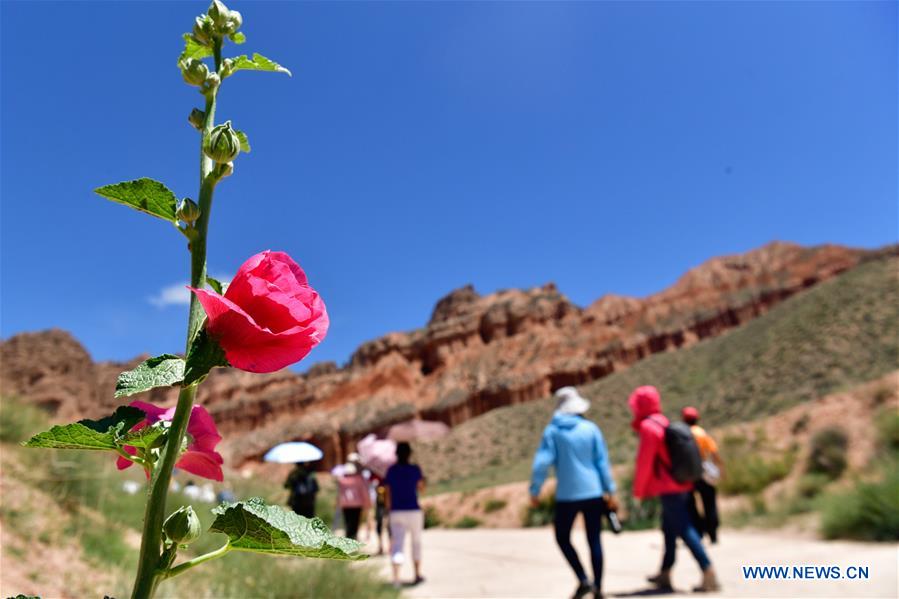 CHINA-QINGHAI-DANXIA LANDFORM (CN)