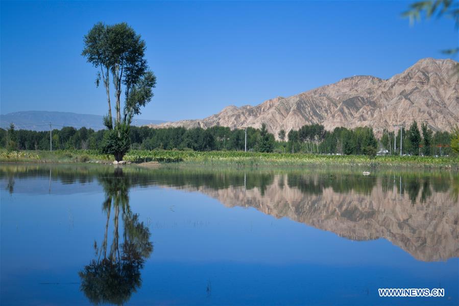 CHINA-QINGHAI-DANXIA LANDFORM (CN)