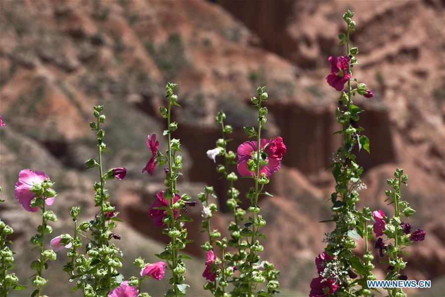 CHINA-QINGHAI-DANXIA LANDFORM (CN)