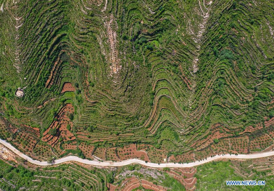 CHINA-HEBEI-TAIHANG MOUNTAINS-TERRACED FIELDS-SCENERY (CN)