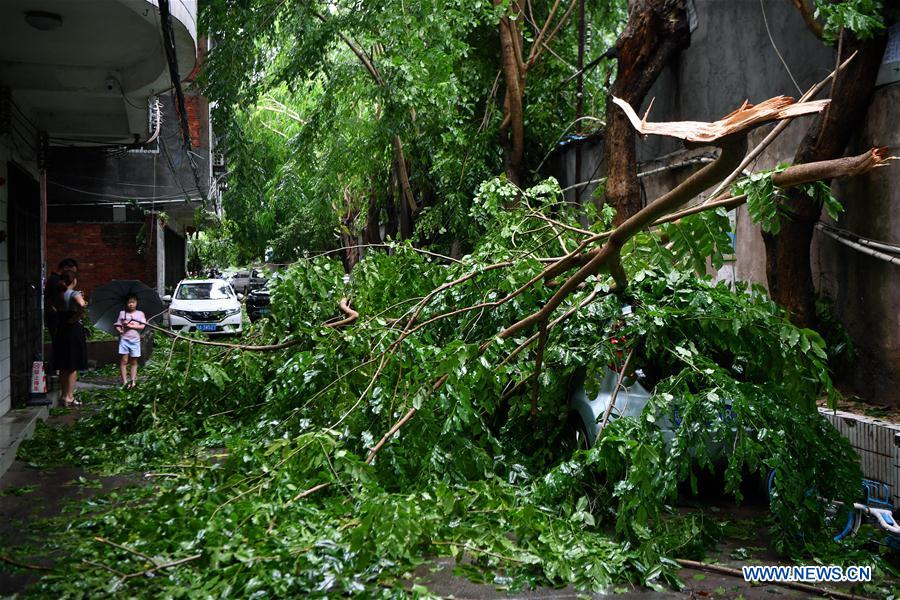 CHINA-HAINAN-TYPHOON WIPHA-LANDING (CN)
