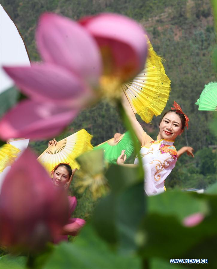 CHINA-YUNNAN-LOTUS FLOWERS (CN)