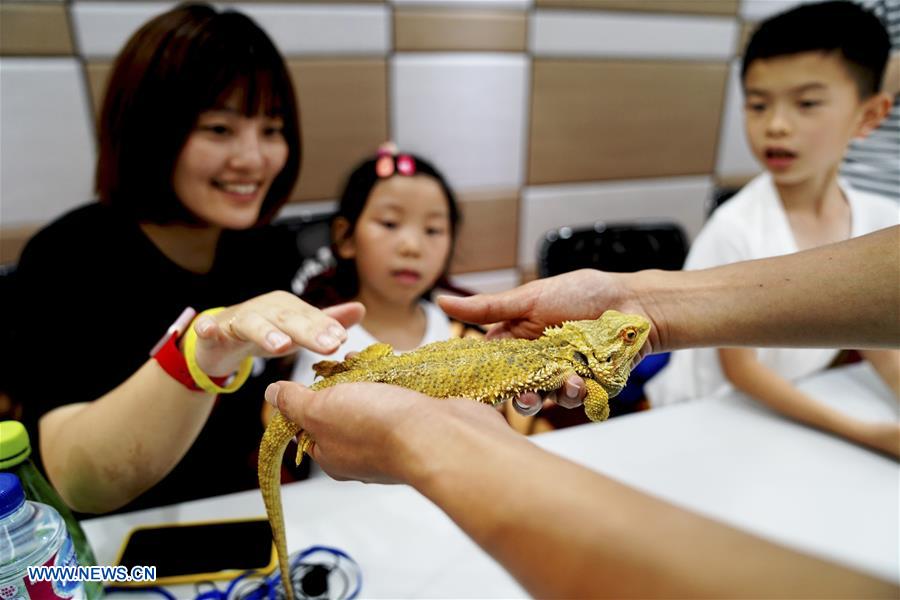 CHINA-SHANGHAI-"NIGHT AT THE ZOO" (CN)