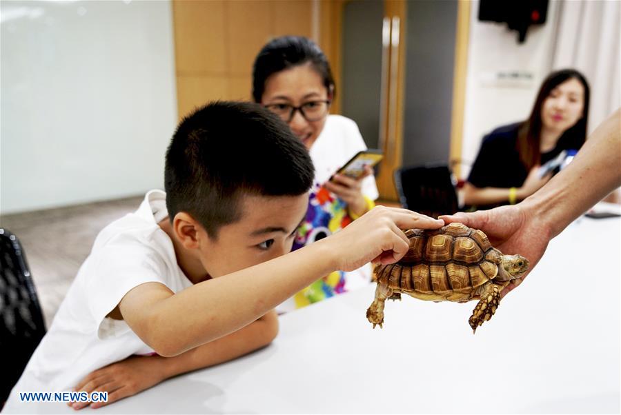 CHINA-SHANGHAI-"NIGHT AT THE ZOO" (CN)