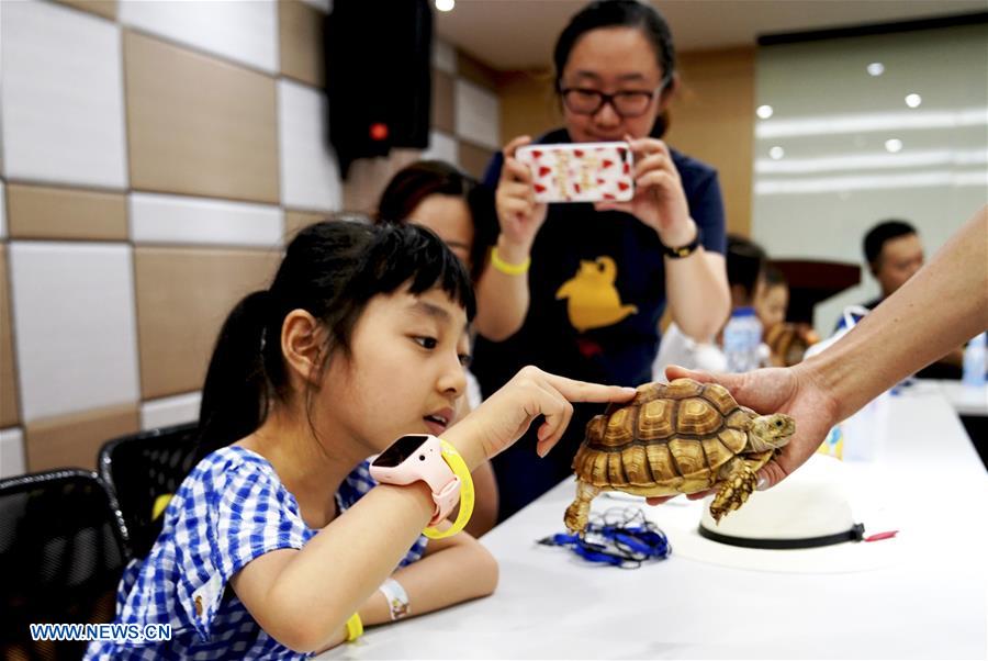 CHINA-SHANGHAI-"NIGHT AT THE ZOO" (CN)