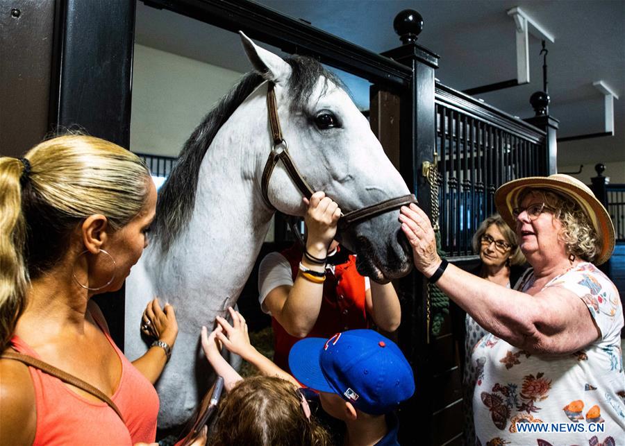 U.S.-ILLINOIS-HORSE-TRAINING
