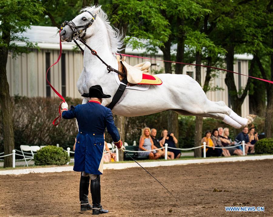 U.S.-ILLINOIS-HORSE-TRAINING