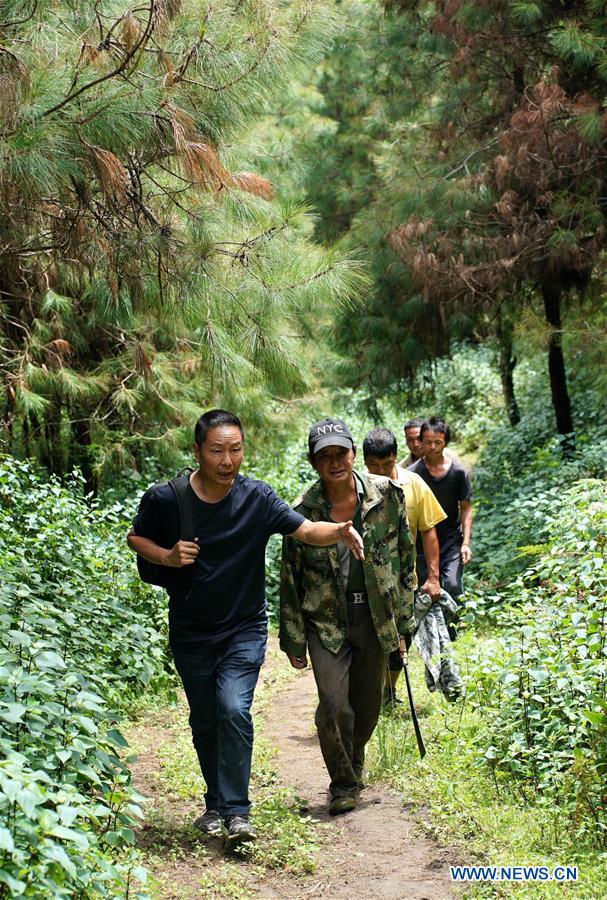 CHINA-YUNNAN-ENVIRONMENT-FOREST (CN)