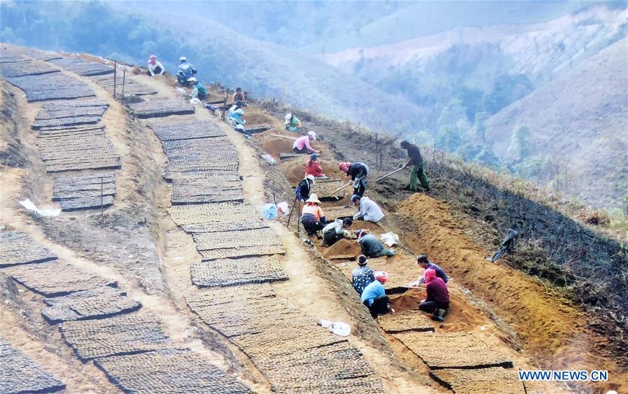 CHINA-YUNNAN-ENVIRONMENT-FOREST (CN)