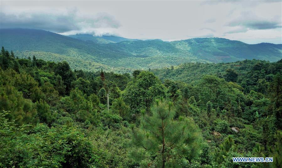 CHINA-YUNNAN-ENVIRONMENT-FOREST (CN)