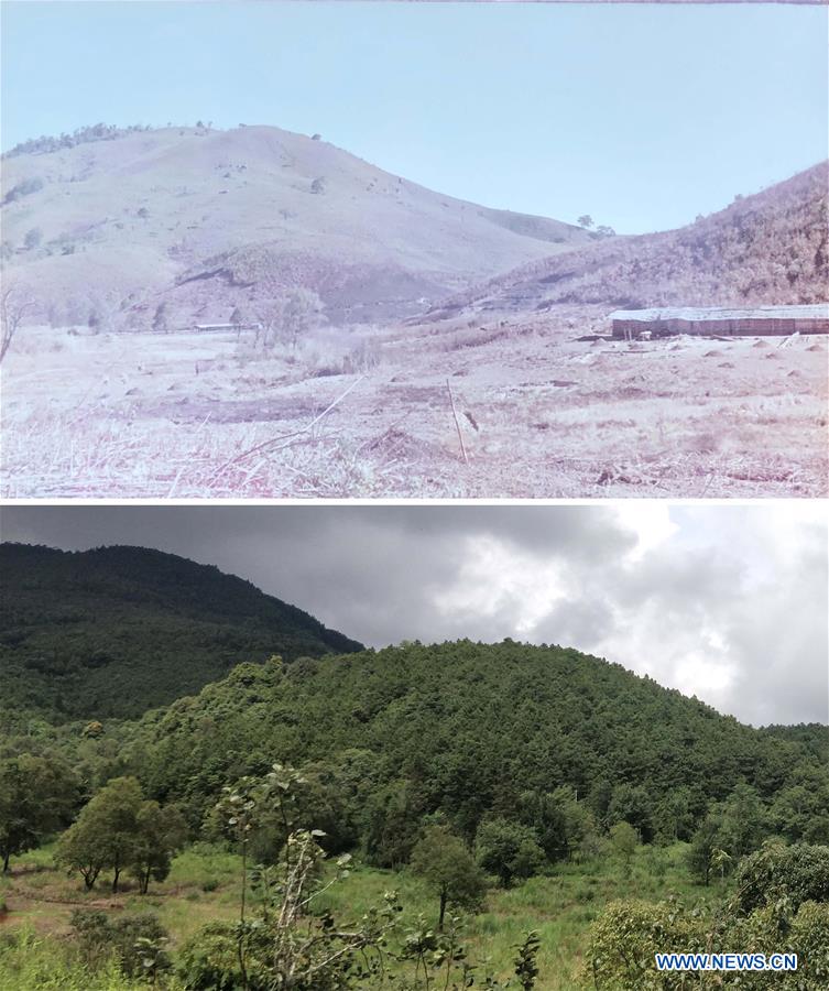 CHINA-YUNNAN-ENVIRONMENT-FOREST (CN)