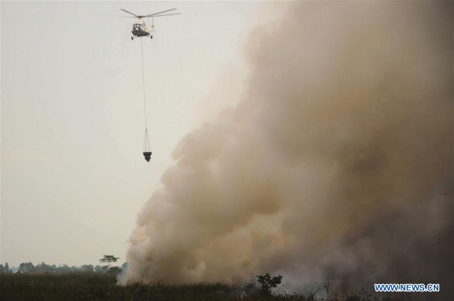 INDONESIA-SOUTH SUMATRA-PEAT LAND FIRE