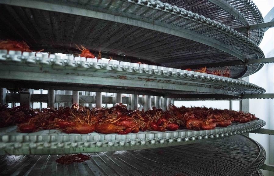 Xinhua Headlines: Chinese companies turn unwanted Nile River crayfish into money-making delicacy
