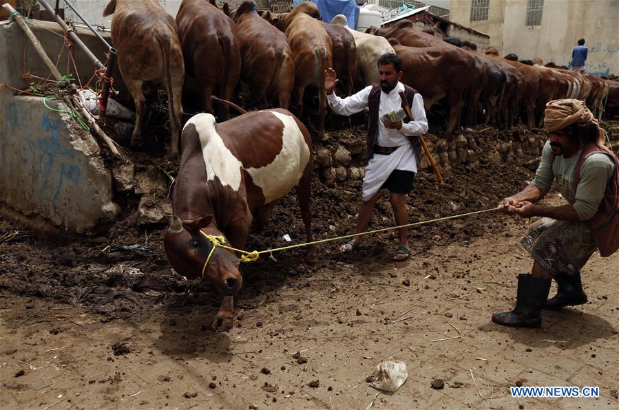YEMEN-SANAA-EID AL-ADHA-LIVESTOCK MARKET