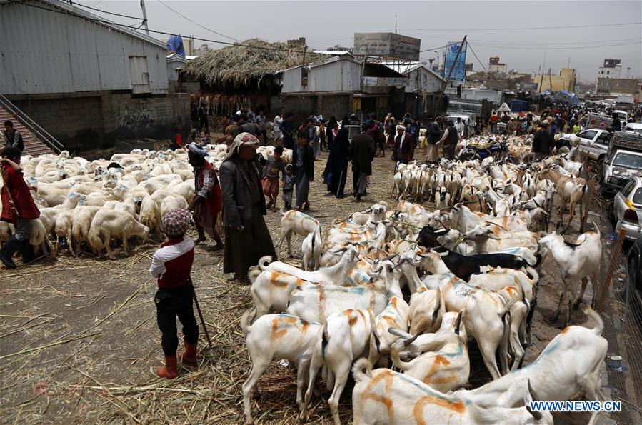 YEMEN-SANAA-EID AL-ADHA-LIVESTOCK MARKET