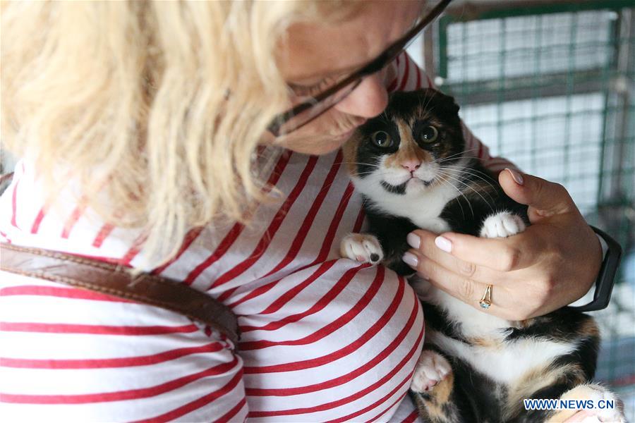 PORTUGAL-LISBON-INTERNATIONAL CAT DAY-ADOPTION 