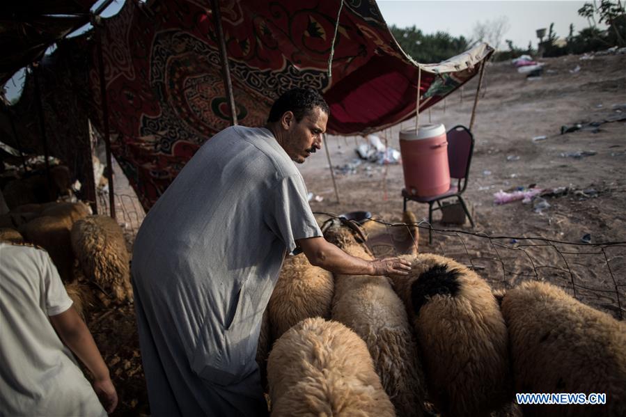 LIBYA-TRIPOLI-EID AL-ADHA-LIVESTOCK MARKET