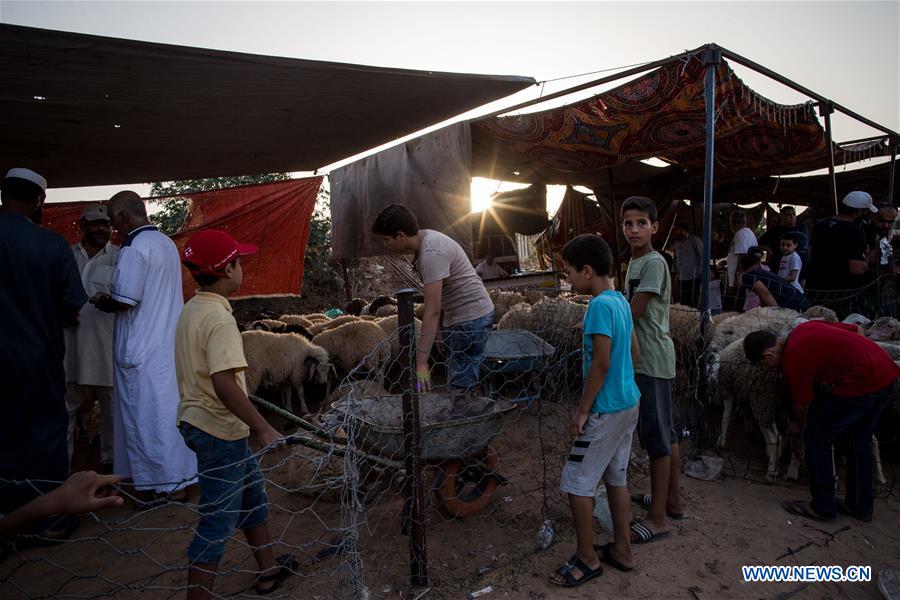 LIBYA-TRIPOLI-EID AL-ADHA-LIVESTOCK MARKET