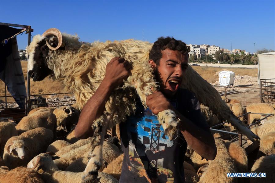 JORDAN-AMMAN-EID AL-ADHA-LIVESTOCK