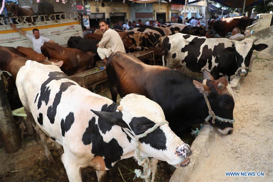 EGYPT-CAIRO-EID AL-ADHA-LIVESTOCK MARKET