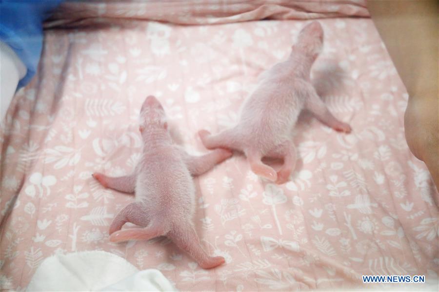 XINHUA PHOTOS OF THE DAY