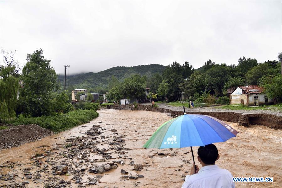 CHINA-SHANDONG-TYPHOON-LEKIMA (CN)