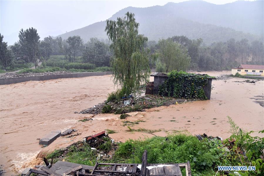 CHINA-SHANDONG-TYPHOON-LEKIMA (CN)