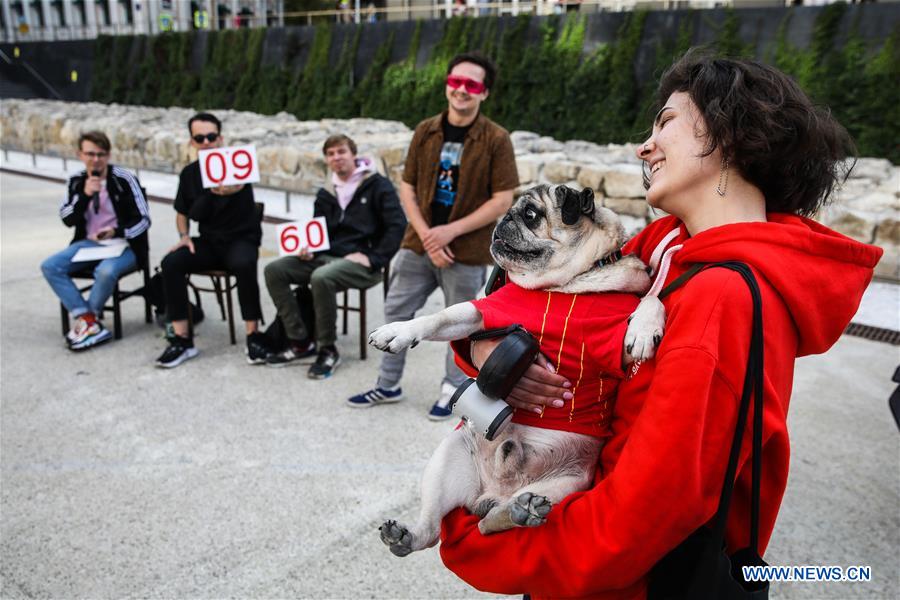 RUSSIA-MOSCOW-DOG-PARTY