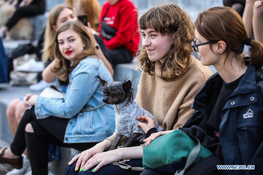 RUSSIA-MOSCOW-DOG-PARTY