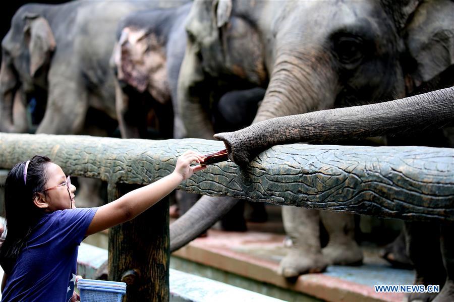 MYANMAR-YANGON-WORLD ELEPHANT DAY