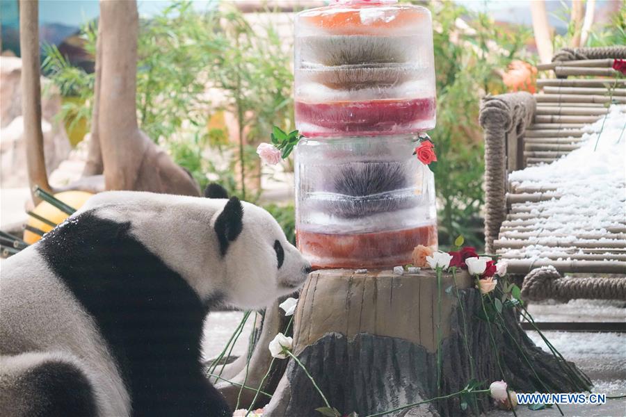 CHINA-HEILONGJIANG-GIANT PANDA-BIRTHDAY (CN)
