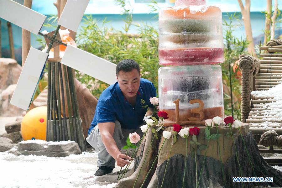 CHINA-HEILONGJIANG-GIANT PANDA-BIRTHDAY (CN)