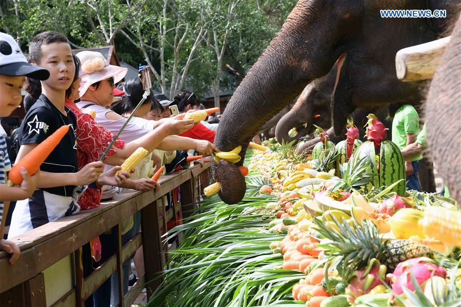 CHINA-YUNNAN-XISHUANGBANNA-ASIAN ELEPHANTS-CONSERVATION (CN)