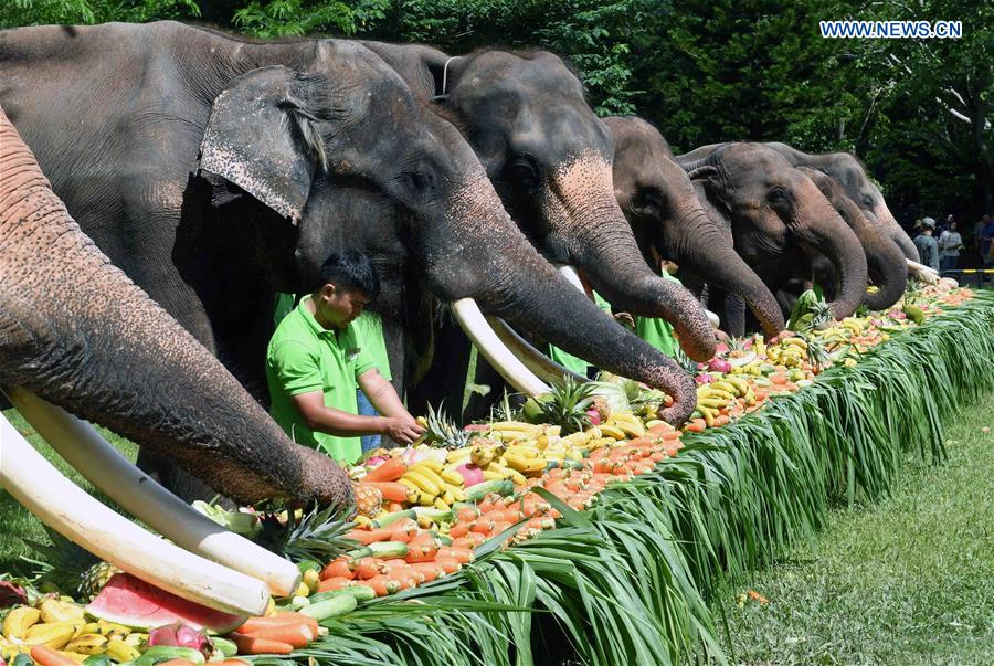 CHINA-YUNNAN-XISHUANGBANNA-ASIAN ELEPHANTS-CONSERVATION (CN)