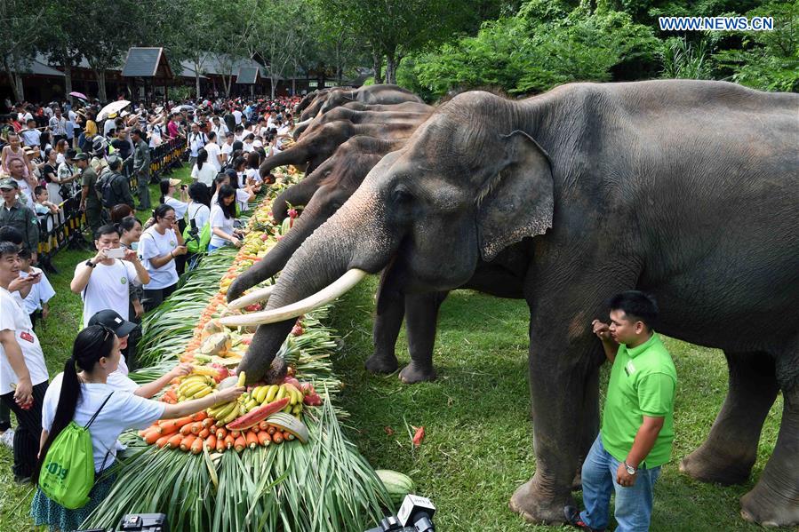 CHINA-YUNNAN-XISHUANGBANNA-ASIAN ELEPHANTS-CONSERVATION (CN)