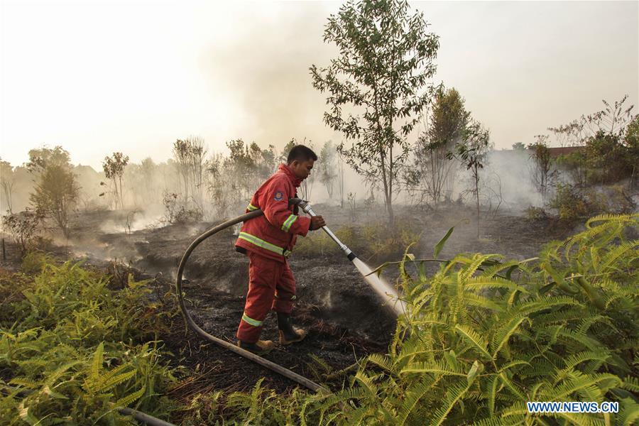 INDONESIA-RIAU-FIRE