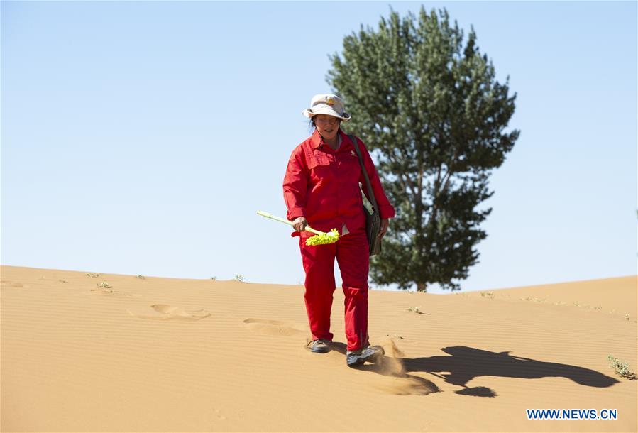 CHINA-INNER MONGOLIA-ARAXAN LEFT BANNER-DESERT-PATROLLING WORKER (CN)